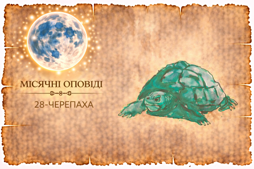 Місячні оповіді: Черепаха — про страх почуттів, закритість і втечу від реальності. Як це формує ілюзію контролю та заважає близькості.